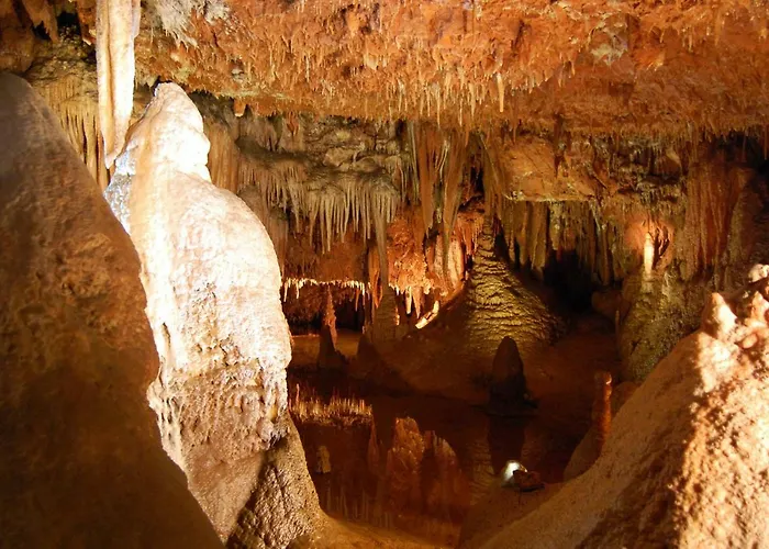 아파트 Vesna 포레치